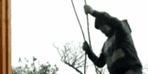 Quand j'essaie de suivre un tuto pour monter mon nouveau projet