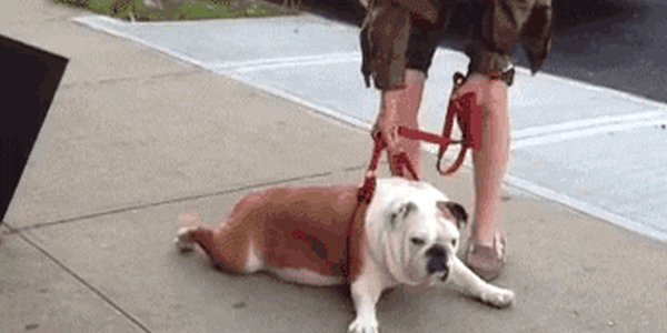 Quand c'est vendredi après-midi et que le commercial veut que je participe à une de ses réunions