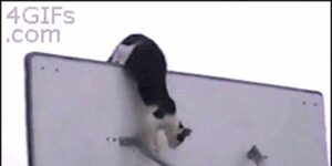 Quand je rejoins un projet sur une techno que je ne connais pas du tout