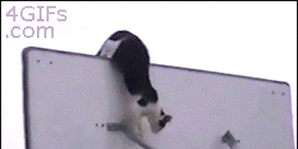 Quand je rejoins un projet sur une techno que je ne connais pas du tout