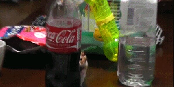 Quand je vois que le sysadmin vient de se connecter à mon environnement de dev