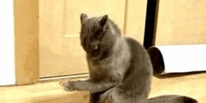 Quand je récupère un projet et qu'on me donne aucun contexte