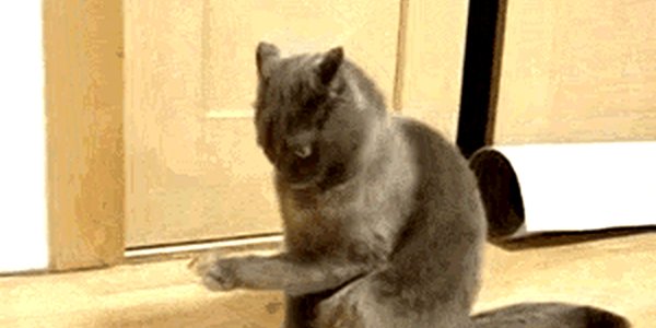 Quand je récupère un projet et qu'on me donne aucun contexte