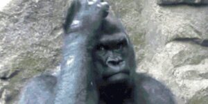 Quand je rouvre mon code de la veille et que j'essaie de me rappeler ce que j'avais en tête quand je l'ai écrit