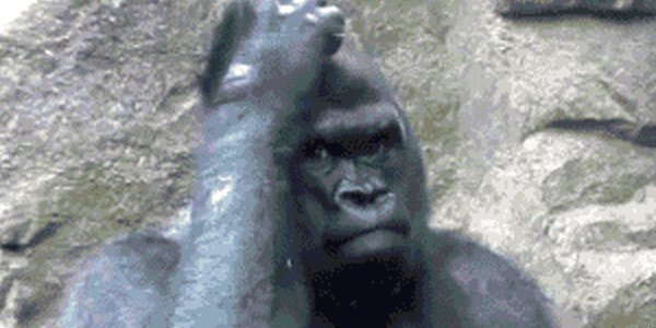 Quand je rouvre mon code de la veille et que j'essaie de me rappeler ce que j'avais en tête quand je l'ai écrit