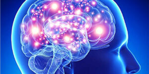 Ici on débugue comme des rois