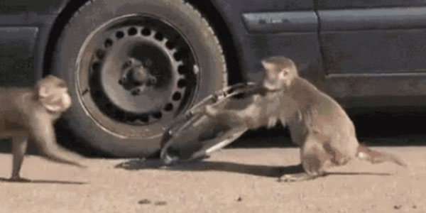 Quand je récupère un bout de code trouvé en ligne