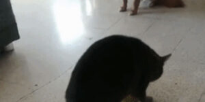 Quand j'exécute un script sans savoir exactement ce qu'il fait