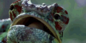 Quand je cherche la différence entre deux fichiers