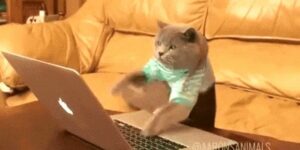 Quand j'essaie de corriger un bug 5 minutes avant le début de notre démo