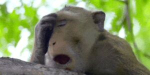 Quand j'ai passé toute la nuit à coder sur mon side project