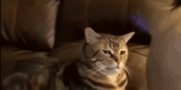 Quand j'écoute le retour du stagiaire qui a fait ma revue de code