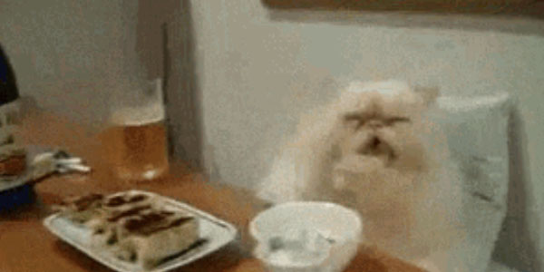 Quand j'essaie de faire tourner le code d'un autre dev