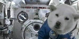 Quand je dois assurer la maintenance du projet d'un collègue en vacances