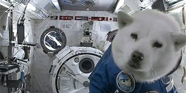 Quand je dois assurer la maintenance du projet d'un collègue en vacances