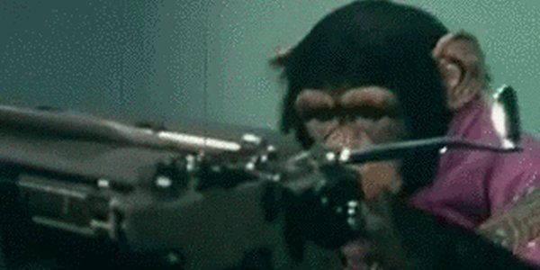 Quand je fais du lorem ipsum en masse pour ma démo