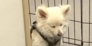 Quand je retourne sur mon projet après 2 semaines de vacances