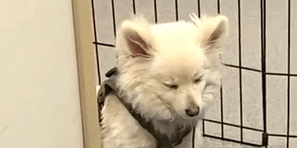 Quand je retourne sur mon projet après 2 semaines de vacances