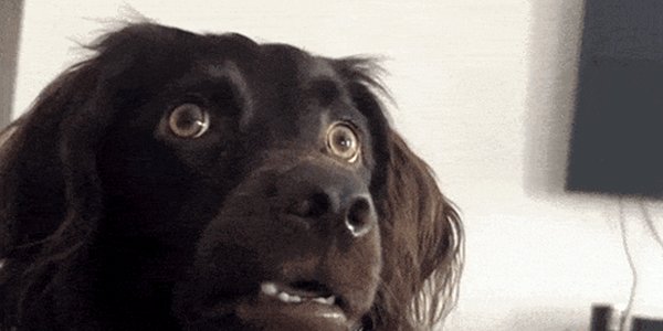 Quand au détour d'un fichier je découvre combien je suis facturé aux clients