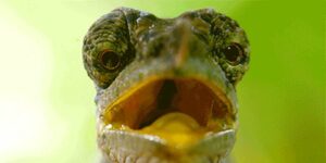 Quand je cherche la différence entre deux fichiers similaires