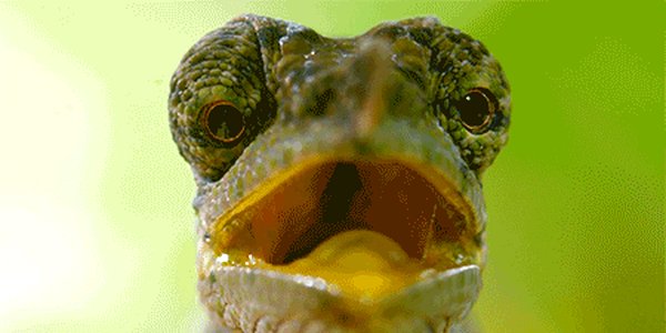 Quand je cherche la différence entre deux fichiers similaires