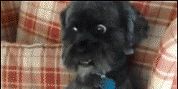 Quand le chef vient me voir à mon bureau et que j'ai pas le temps de changer d'onglet