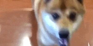 Quand c'est bientôt le week-end