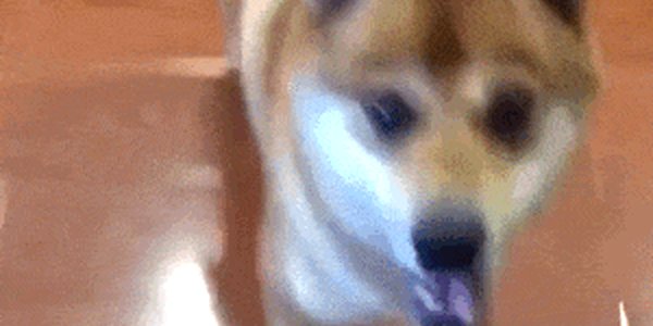 Quand c'est bientôt le week-end