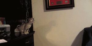 Quand je démarre ma migration de BDD