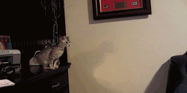 Quand je démarre ma migration de BDD