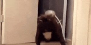 Quand je suis sur le point de partir et que je reçois un mail "URGENT PROD DOWN"