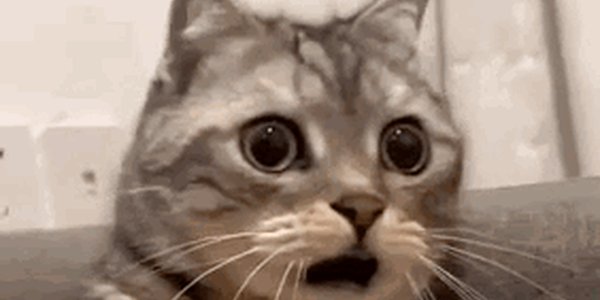 Quand j'ai loupé une mise en prod pendant mes vacances mais que je vois la pile de bugs non résolus à mon retour