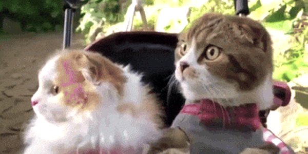 Quand un collègue demande si quelqu'un est dispo pour jeter un oeil à sa PR