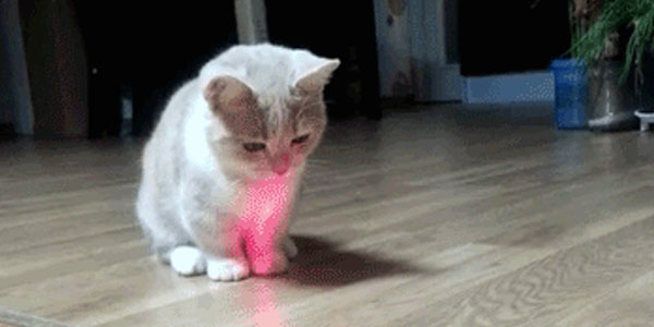 Quand j'ai trouvé un bug mais que j'arrive pas à le reproduire