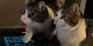 Ah ben voilà non mais ouais c'est ça attends j'ai compris t'inquiète fais voir