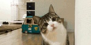 Quand je trouve une fonction qui va me faire gagner plusieurs heures de dev