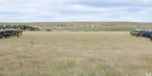 Quand je lance un git merge sans rien contrôler