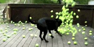 Quand je lance un brew update