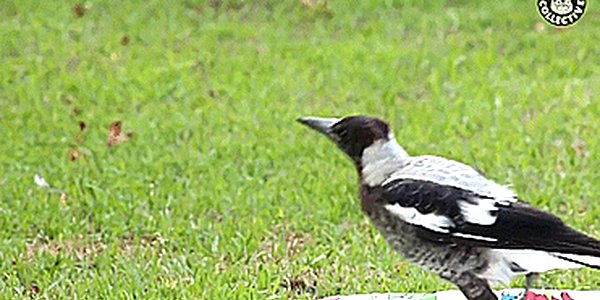 Quand on essaie de comprendre comment fonctionne exactement la lib qu'on vient d'importer