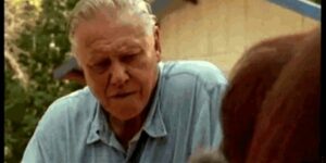 Quand je regarde le stagiaire coder son correctif