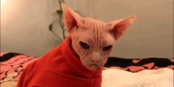 Quand je passe voir le sysadmin pour lui demander un coup de main