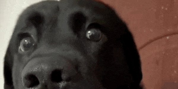 Quand je croyais qu’on livrait le 5 novembre et qu’en fait c’était le 5 octobre