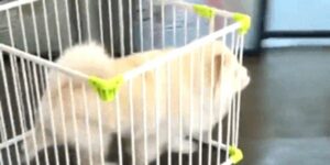 Quand j'essaie de faire des trucs sur le serveur alors que j'ai pas les droits