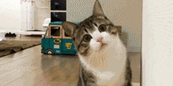 Quand je tombe sur un projet en ligne qui va me faire gagner plusieurs jours de dev