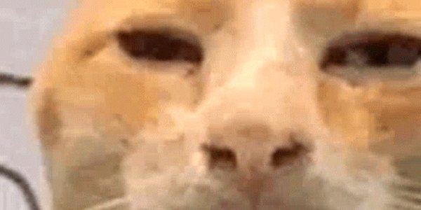 Quand le client me demande où en est la fonctionnalité qu’il n’a jamais commandée