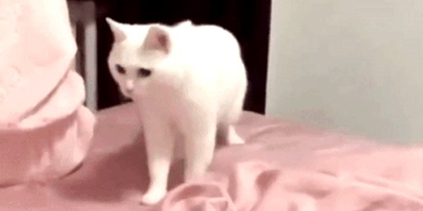 Quand il y a des coupures réseau et que j'essaie tant bien que mal de bosser