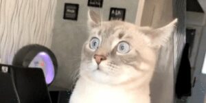 Quand je me retrouve bloqué dans une réunion avec les commerciaux