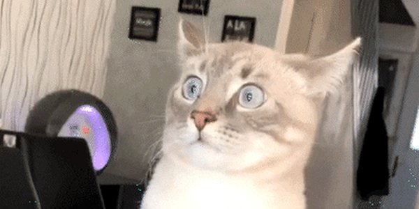 Quand je me retrouve bloqué dans une réunion avec les commerciaux