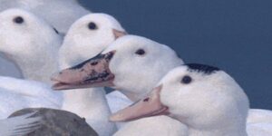 Quand le commercial nous dit qu'il sait un peu coder parce qu'il a déjà fait du HTML