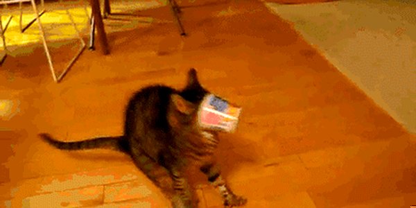 Quand je tente d'intégrer une bibliothèque sans la moindre documentation